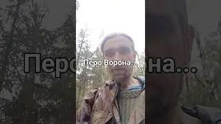 28 апреля 2024 г.