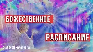 Божественное расписание. По какому расписанию живёте вы?