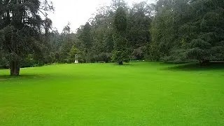 Canon Ixus 230Hs Field test Video || Zoom Test Video || Live Performance Video