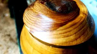 Woodturning - a salt shaker