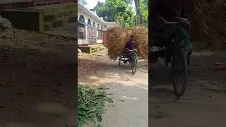 গ্রাম ❤️ #shorts #shortvideo