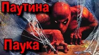 Человек паук и его паутина, реальны? | Spider-Man Web