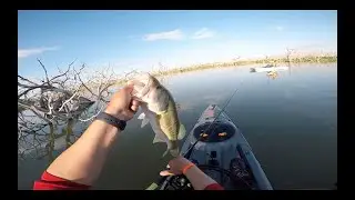 SEGUNDO DIA DE PESCA EN PRESA EL CUCHILLO una gorda me reventó la linea