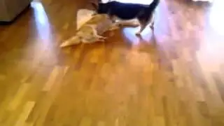 2012 1019 075310 HamishAndRusty