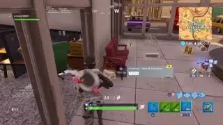 Clearing out Paradise Palms