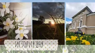 История дня - деревенский влог 🌿