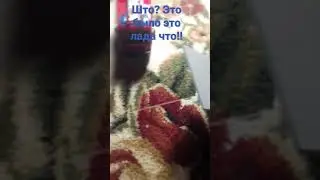 што?