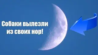 Полицейские следили, как я снимал Луну! Очень странное явление!