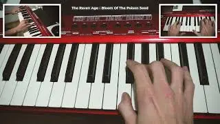 The Raven Age - Bloom Of The Poison Seed (cover)