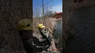 Вот это рыбалка! Сын не ожидал такое поймать!