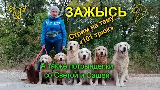 ЗАЖЫСЬ. Второй стрим