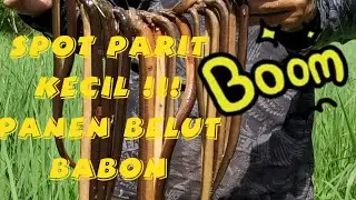 Mancing belut babon || spot parit kecil || semua lubang ada belutnya di santap terus guys
