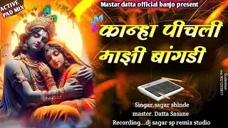 कान्हा पिचली माझी बांगडी active pad mix 8605741574insta treding