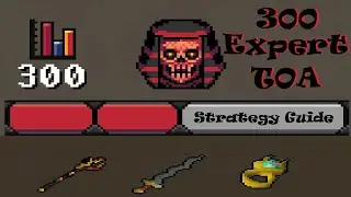 300 Invo Expert TOA Guide -  NO INSANITY!!!
