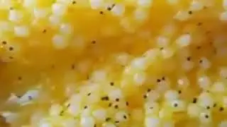 💕Слаймы от Вики💕:Новое видео для вас😍😝😋
