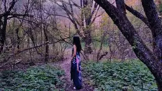 KOOB - Jungle (Lyric Video)