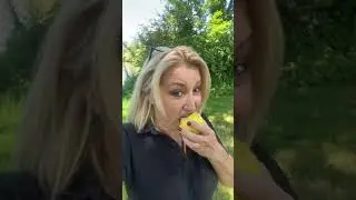 Пикник на Обочине  💐в рабочий полдень