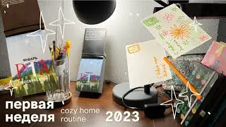 первая неделя 2023 года (ем, смотрю фильмы и упаковываю подарки)