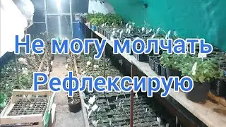 . Высказываю свое мнение в поддержку хороших людей💗