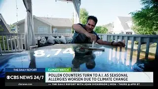 How AI is being used in fight against seasonal allergies