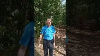 Нажип Мадьияров - Сабакташларга