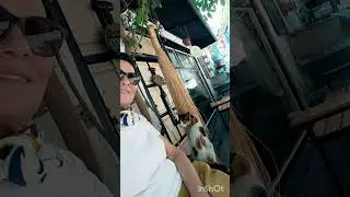 Dünya Barış günü ✊❗ 1 Eylül