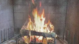 Burning Wood Behind Fireplace Spark Screen 20x Speed