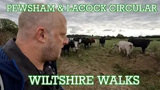 Pewsham & Lacock Circular |Wiltshire Walks | Cool Dudes Walking Club