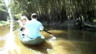 Gáo Giồng 1