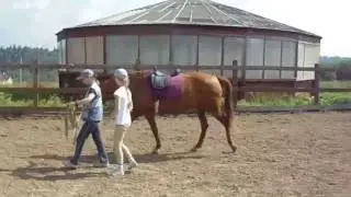 Занятие конного клуба "Пересвет"