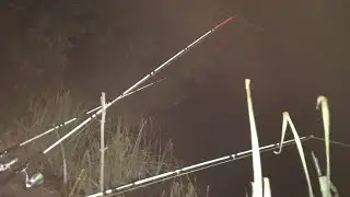 Поймать осеннего трофейного сома. Часть 2. Закрытие сезона