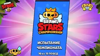 ЧТО ДАЛИ НАМ З BS Hunter ЗА ПРОХОЖДЕНИЯ ЧЕМПА 😳