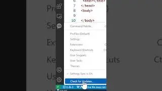 How to Update VS CODE
