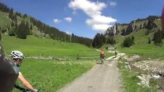 Mountainbike guide tour in Vorarlberg with Bikepro