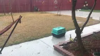 Rain in Texas