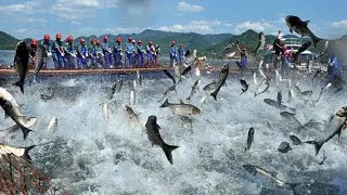 Amazing Great Big Fishing Skills, Sea Fishing And Traditional Fishing