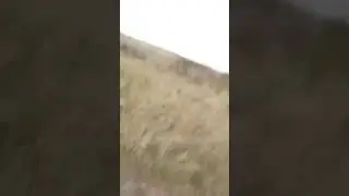 Азербайджанские Туристы отдыхают к Карабахе
