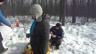 Масленица 2015(1)