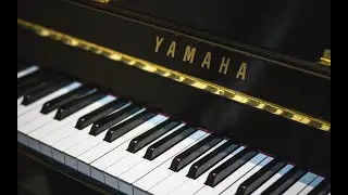Весенняя акция  Уроки фортепиано и ноты