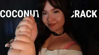 ASMR Coconut Crack, Coconut Rain 🥥🌧️ Trigger ( Mouth Sounds & Visuals, Hand Movements )