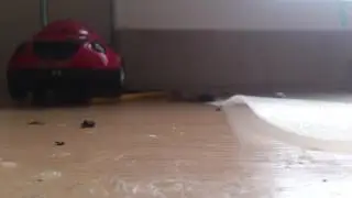 Моя лучшая бродяга и вопрос подписчикам