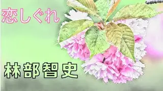 恋しぐれ　　林部智史