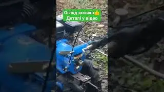 Огляд коника🔥#shorts
