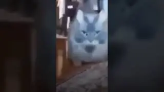 Чпунь Чпунь Чпуть