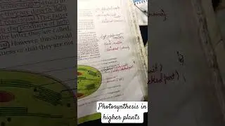 PHOTOSYNTHESIS IN HIGHER PLANTS...(class -- 11).             #neetpreparation #neetexam #neet2024
