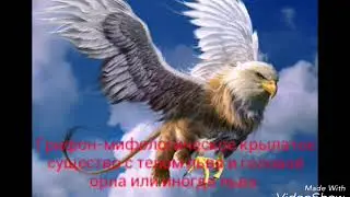 То что вы не знали о грифонах