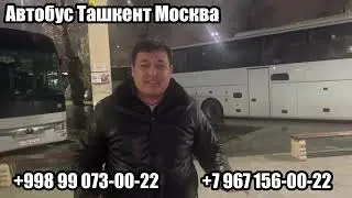 Ташкент Москва автобус Автобус Ташкент Москва Ташкент Москва автобус билет Ташкент Москва автобус