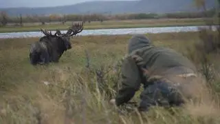 Too CLOSE for Comfort! Recurve Bowhunting Alaskan Moose