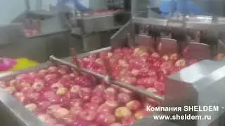 Машина для удаления косточек и снятия кожуры яблок и груши