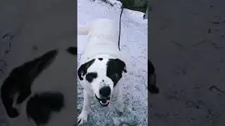 Ну вот и весна🌹🌹🌹